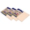 Ucreate Self Portrait Paper, Light Almond, 12in x 18in, PK300 P9522 - alternate 1